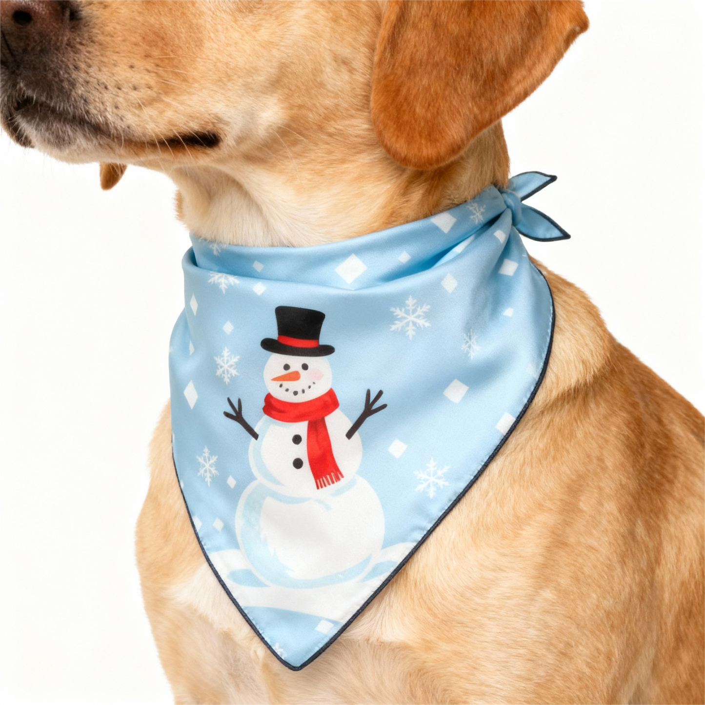 Luvik | Loma Perhe Napillinen Taivaansininen Sametti Jouluyöasu Setti