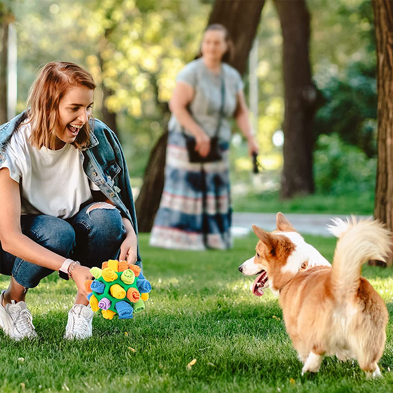 Sniffle ball for pets | Luvikno