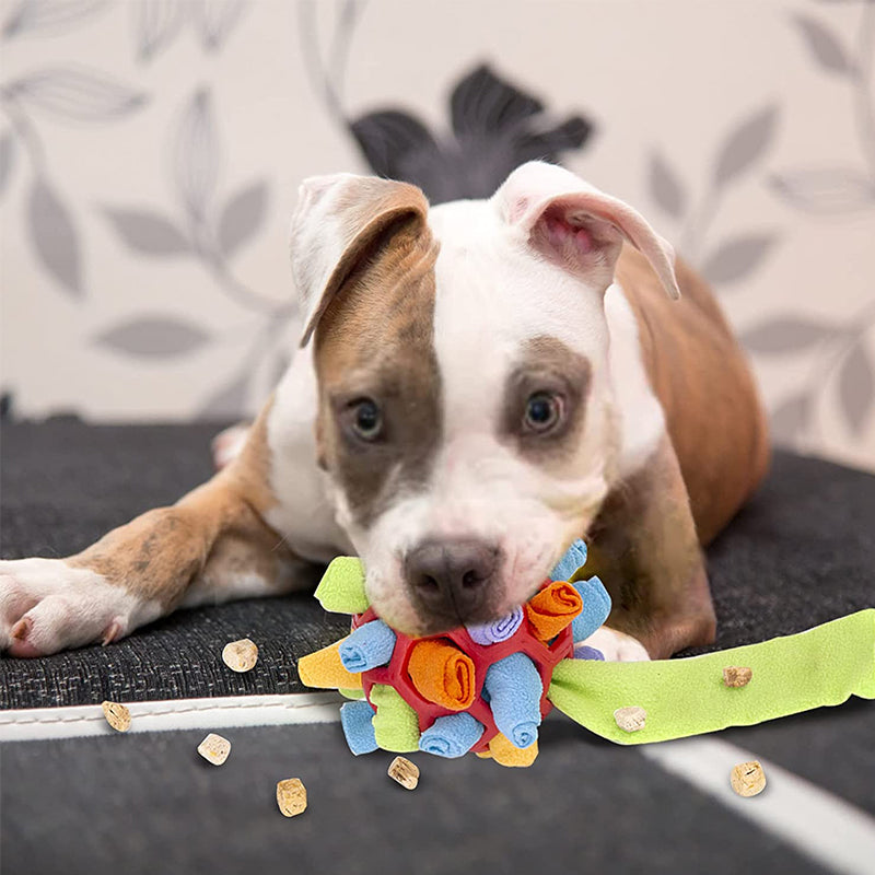 Sniffle ball for pets | Luvikno