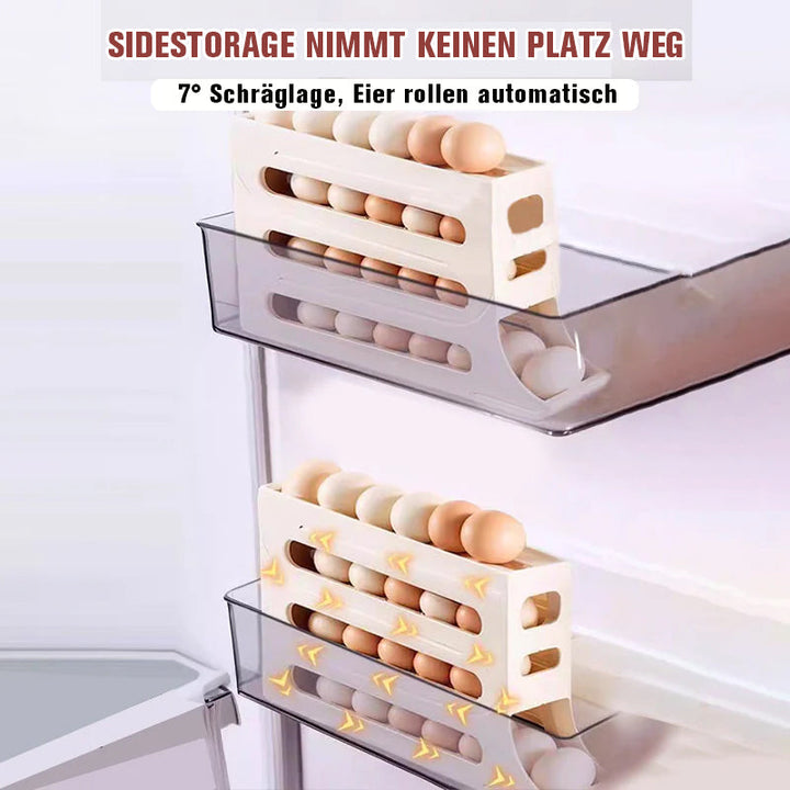 Fire-lags Egg Storage Rack | Luvikno