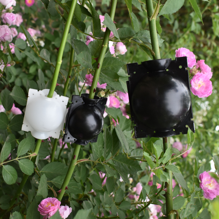 Air Layer Plant Propagation Capsule | Luvikno