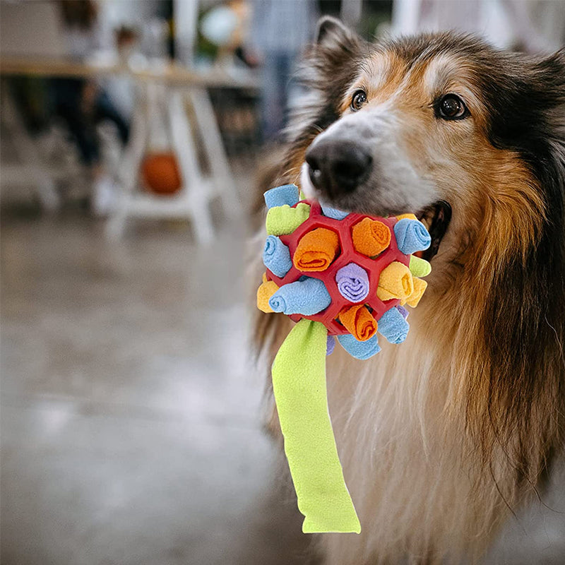 Sniffle ball for pets | Luvikno