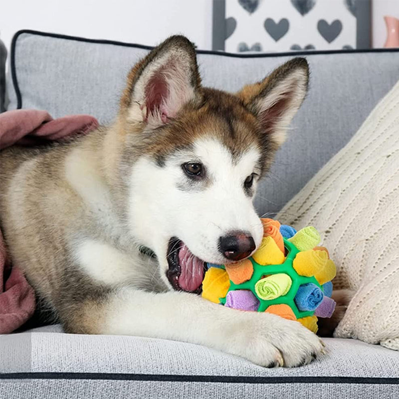 Sniffle ball for pets | Luvikno