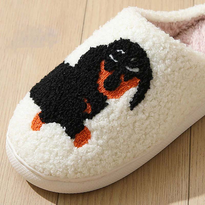 PawSnooze – Koselig varme og komfort som gir deg glede Luvikno
