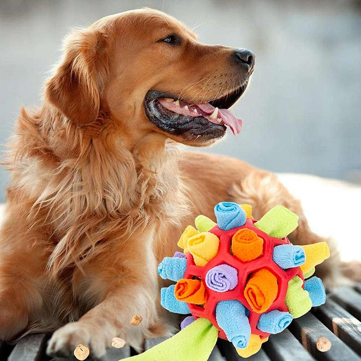 Sniffle ball for pets | Luvikno