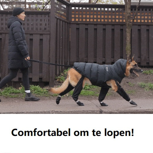 Luvikno | Bærekraftige hundeboots for alle værforhold – Vanntette hundesko for snø, fotturer og utendørs aktiviteter