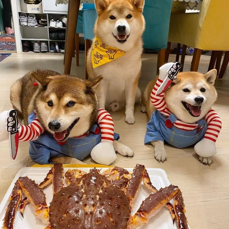 Chucky-inspired pet costume for dogs and cats Luvikno