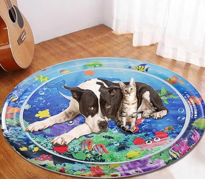 Luvikno | FelineSplash — Slipp løs kattens ville jaktglede uten kaos og stress!