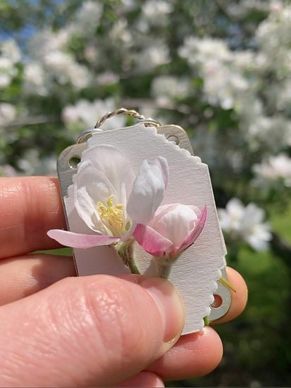 Luvikno | FloraKeep – Hold blomstene dine kjære friske for alltid!
