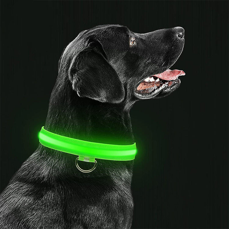 Luvikno | Luminous Animal Collar with LED Light – Rechargeable, Waterproof, Adjustable Fit for Enhanced Safety at Night