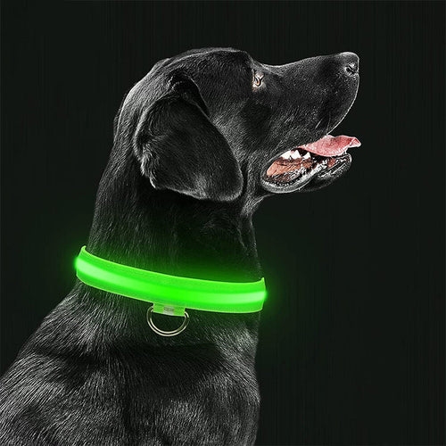 Luvikno | Luminous Animal Collar with LED Light – Rechargeable, Waterproof, Adjustable Fit for Enhanced Safety at Night