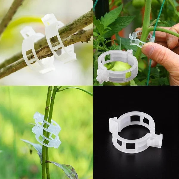 GripKing Clips — Hold plantene sterke og oppdag enkelt, sunn vekst! | Luvikno