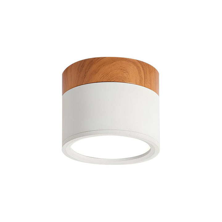LED Taklampe Moderne Flush Mount Sylinder Luvikno