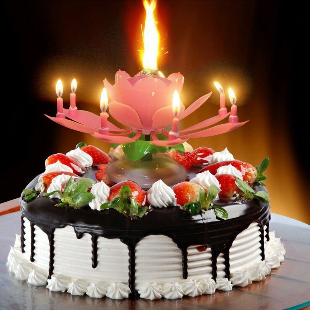 Roterende Lotus Kake Lys | Luvikno