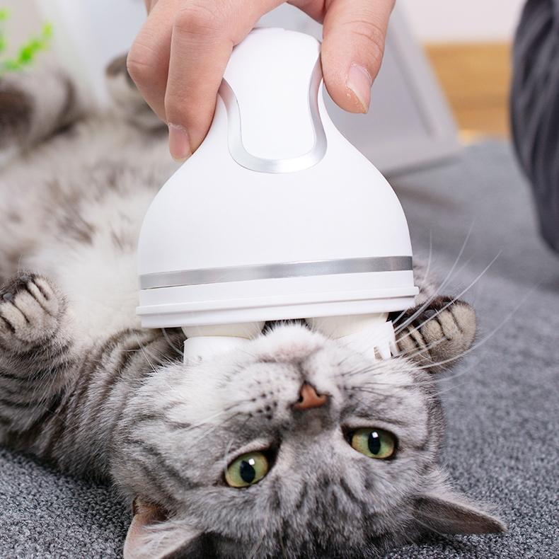 Electric Cat Massager | Luvikno