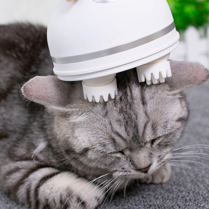 Electric Cat Massager | Luvikno