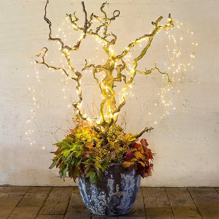 Firefly Bunch Lights | Luvikno