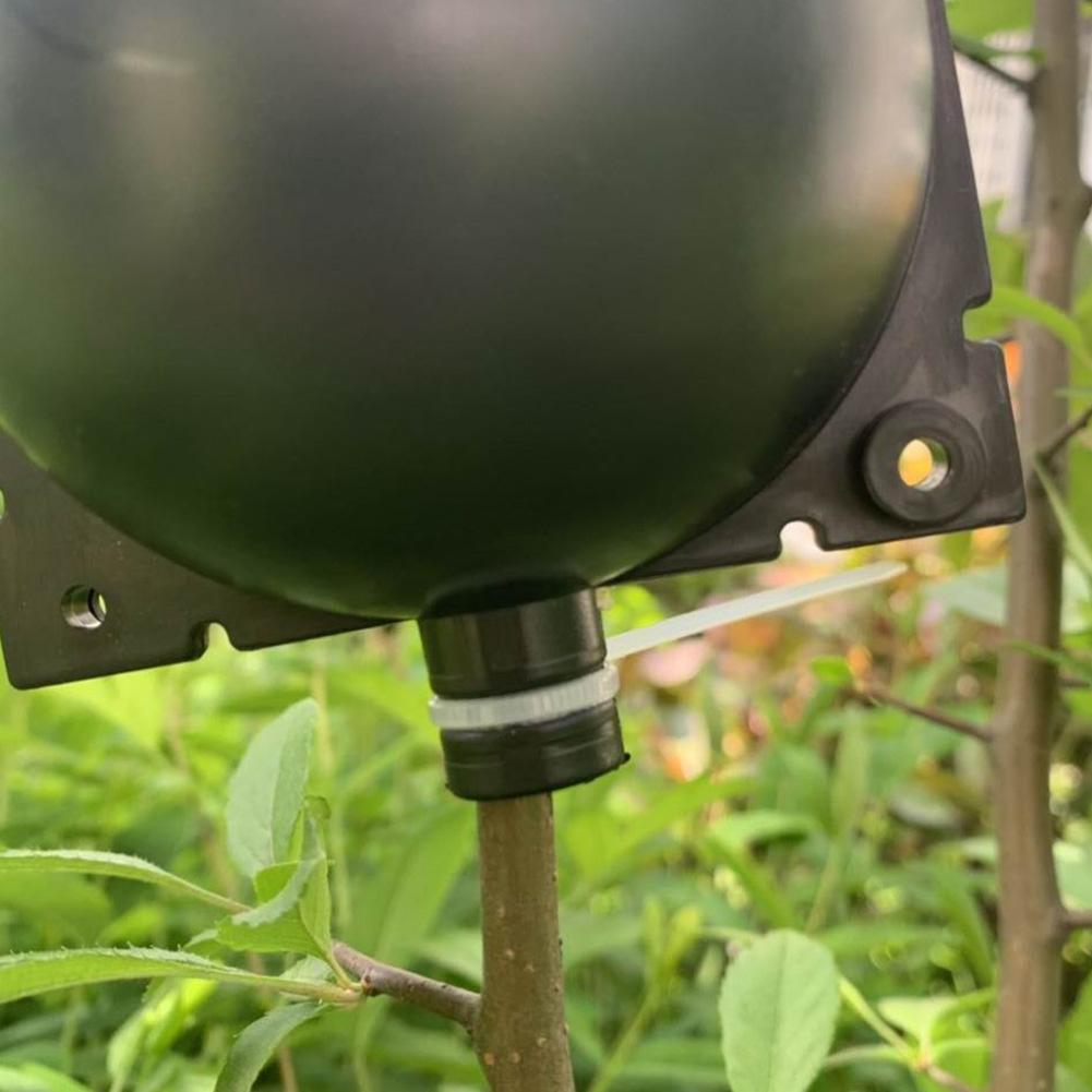 Plante Rot Vekst Boks (5 PCS) | Luvikno