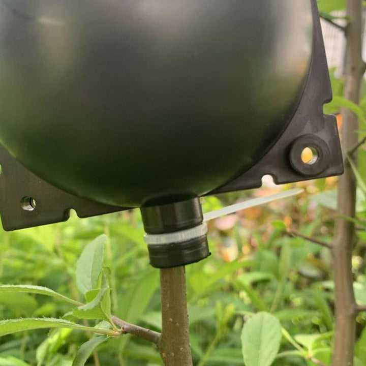 Plante Rot Vekst Boks (5 PCS) | Luvikno