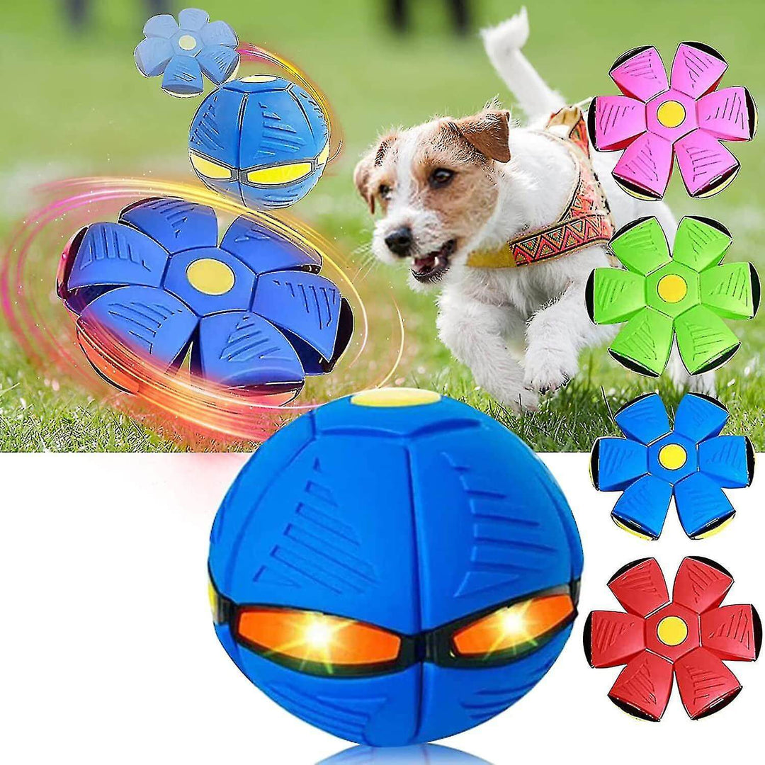 Hundelek Interaktiv Gummiflygende Disk Ball Luvikno