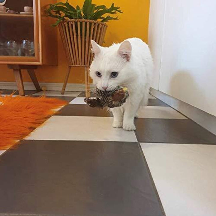 Luvikno | BirdyPurr - Den trygge lekevennen for katten din!