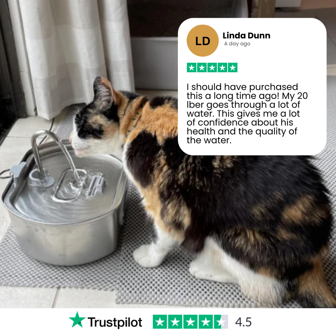 Luvikno | Felindra Katte Drikkefontene Laget av Rustfritt Stål | Strømmende Vann for Bedre Hydrering | Stille & Hygienisk | 2,5 L Kapasitet