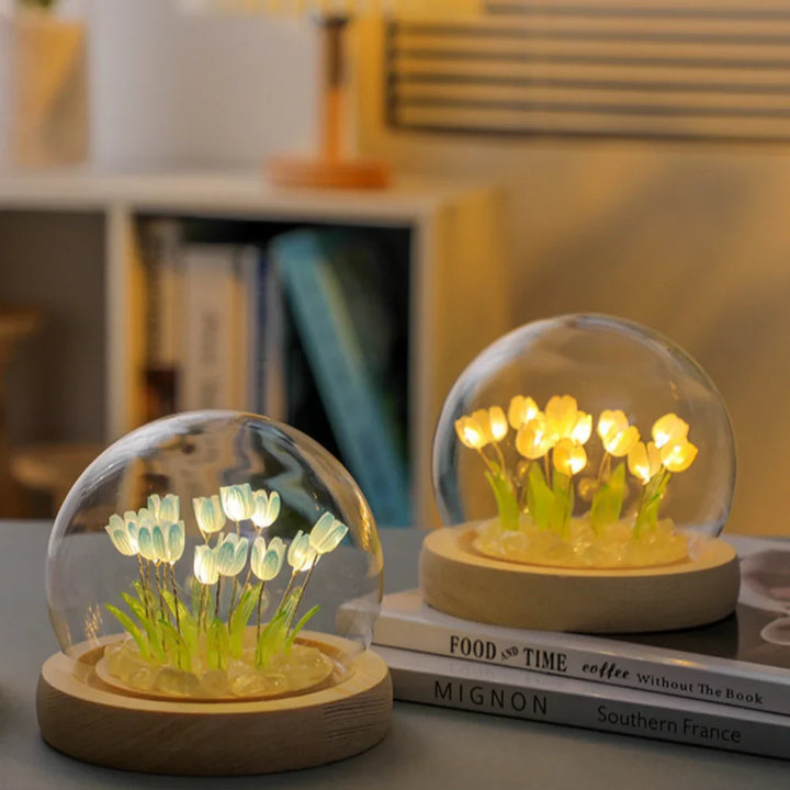 Glass Dome Tulip Light | Luvikno