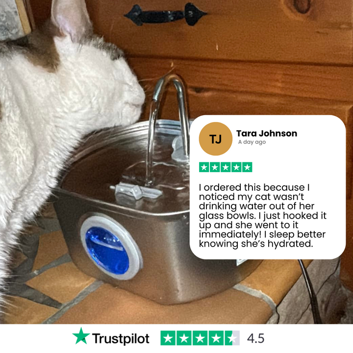 Luvikno | Felindra Katte Drikkefontene Laget av Rustfritt Stål | Strømmende Vann for Bedre Hydrering | Stille & Hygienisk | 2,5 L Kapasitet