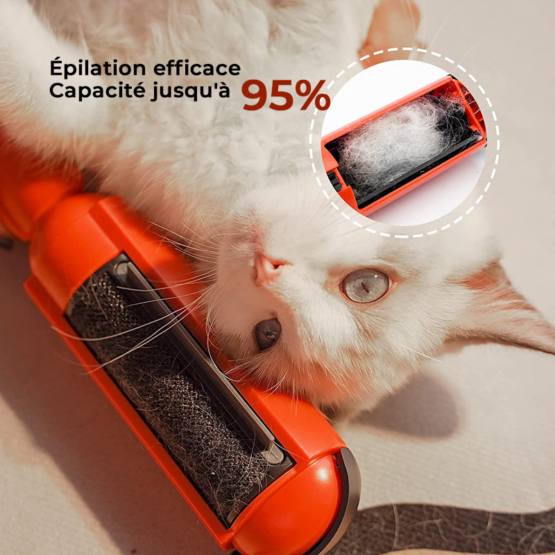 Adhesive Brush for Pets | Luvikno