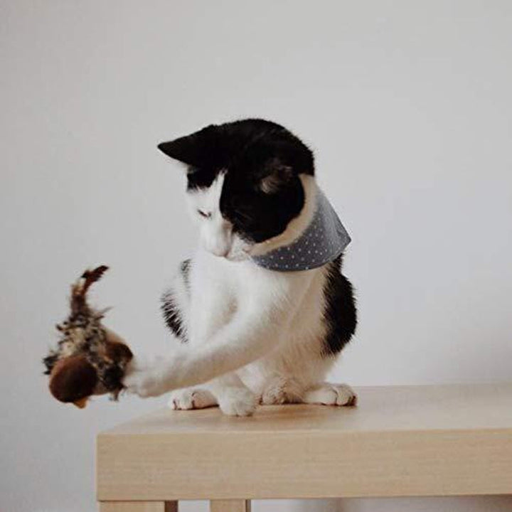 Luvikno | BirdyPurr - Den trygge lekevennen for katten din!