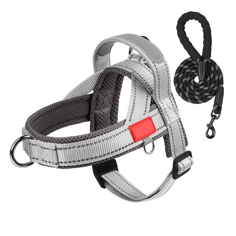 PawEase Comfort Harness — Avslappet påkledning og ubegrenset frihet for hunden din | Luvikno