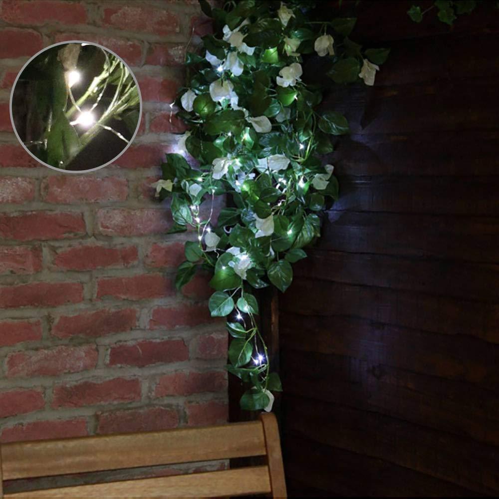 Solar Fairy String Light | Luvikno