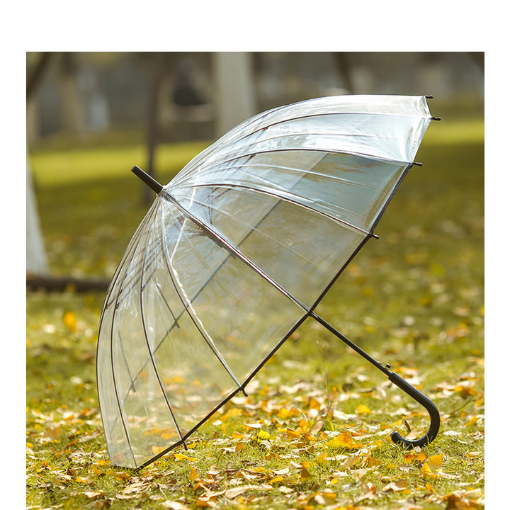 Damer gjennomsiktig paraply med elegant design Luvikno