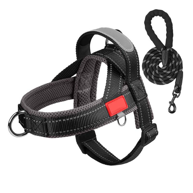 PawEase Comfort Harness — Avslappet påkledning og ubegrenset frihet for hunden din | Luvikno