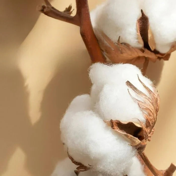 Satin Bomull Brodert Sengetøy Sett - Luxora | Luvikno