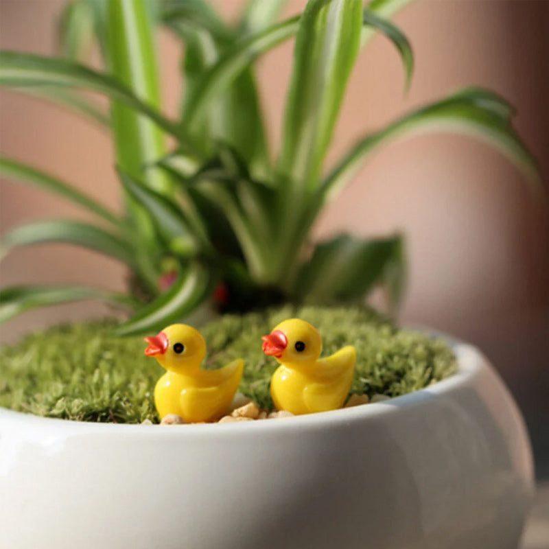 🦆Tiny Ducks | Challenge Hiding Ducks | Luvikno