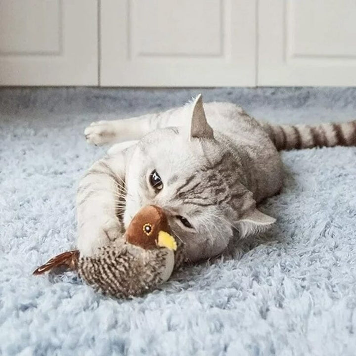Katt leketøy - Simulert kvitre fugl Luvikno