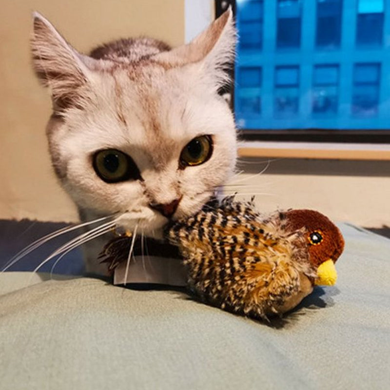 Luvikno | BirdyPurr - Den trygge lekevennen for katten din!