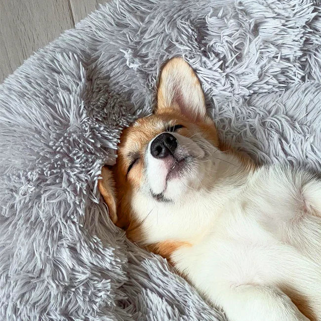 Ortopedisk Plysj Donut Hundeseng Luvikno