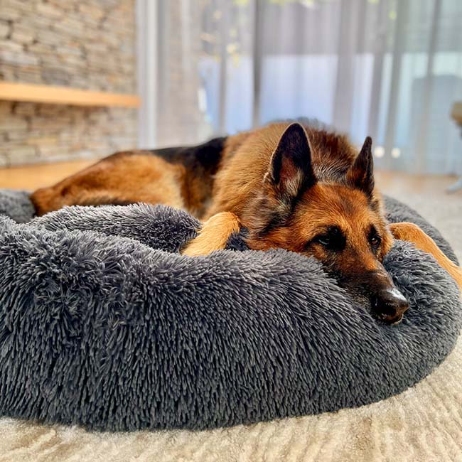 Ortopedisk Plysj Donut Hundeseng Luvikno