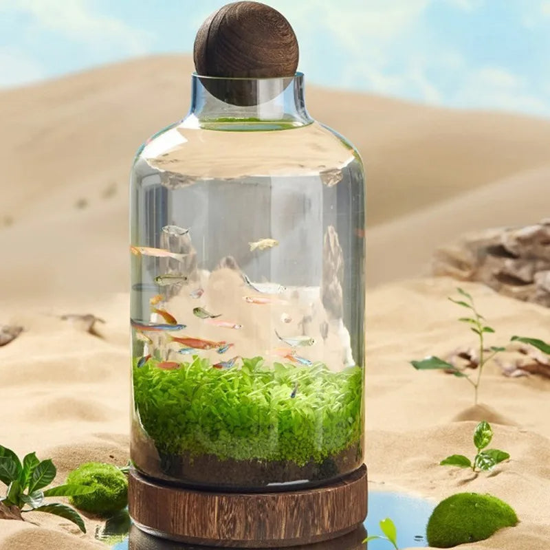 Mikro Akvarium Kompakt Glass Økologisk Fisken Tank | Luvikno
