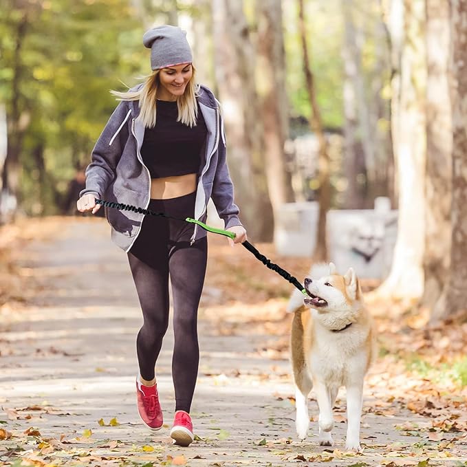 FlowLeash — Opplev myk kontroll og avslappede turer uten rykk! | Luvikno