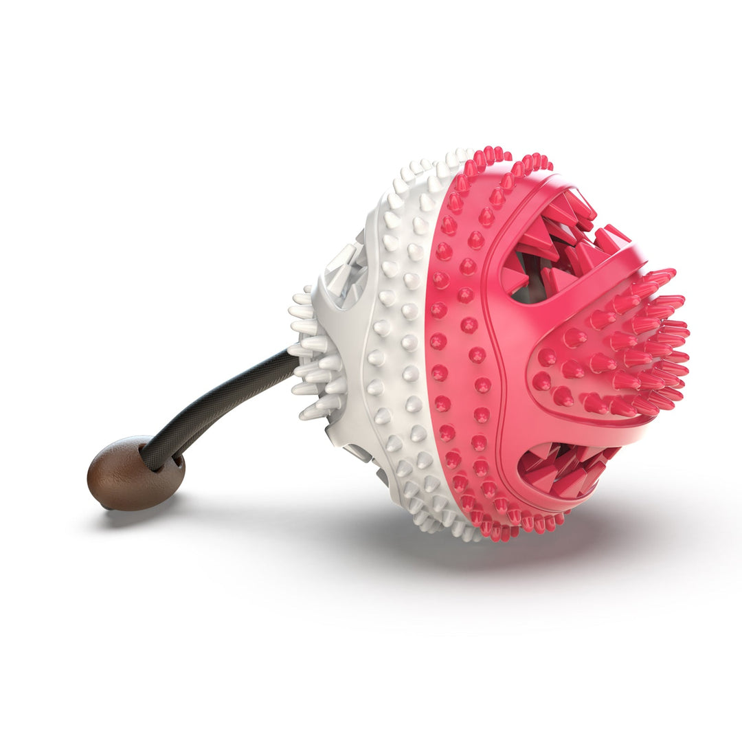 Rope Suction Tug Toy – Matpakkende Kvalball for Hunder (Type A) Luvikno