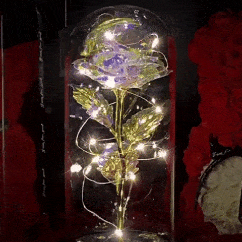 Rose i Glass Dome Display | Luvikno