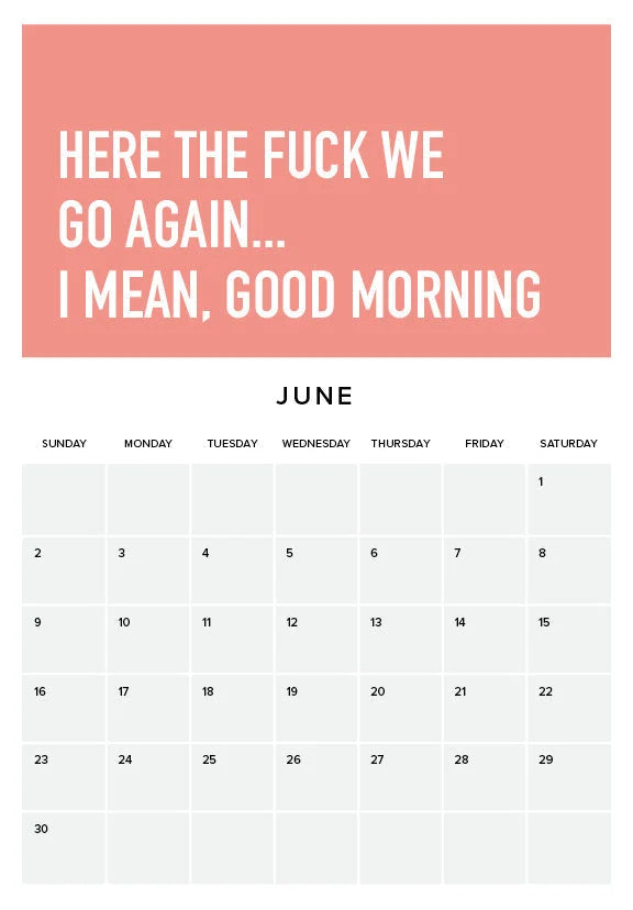 Adulting Is Hard 2024 Veggkalender | Luvikno