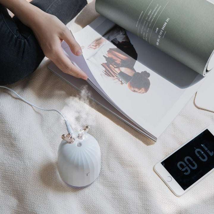 Aroma Essential Oil Diffuser | Luvikno
