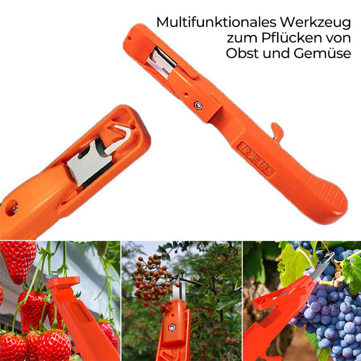 Effektive paprika plukking verktøy | Luvikno
