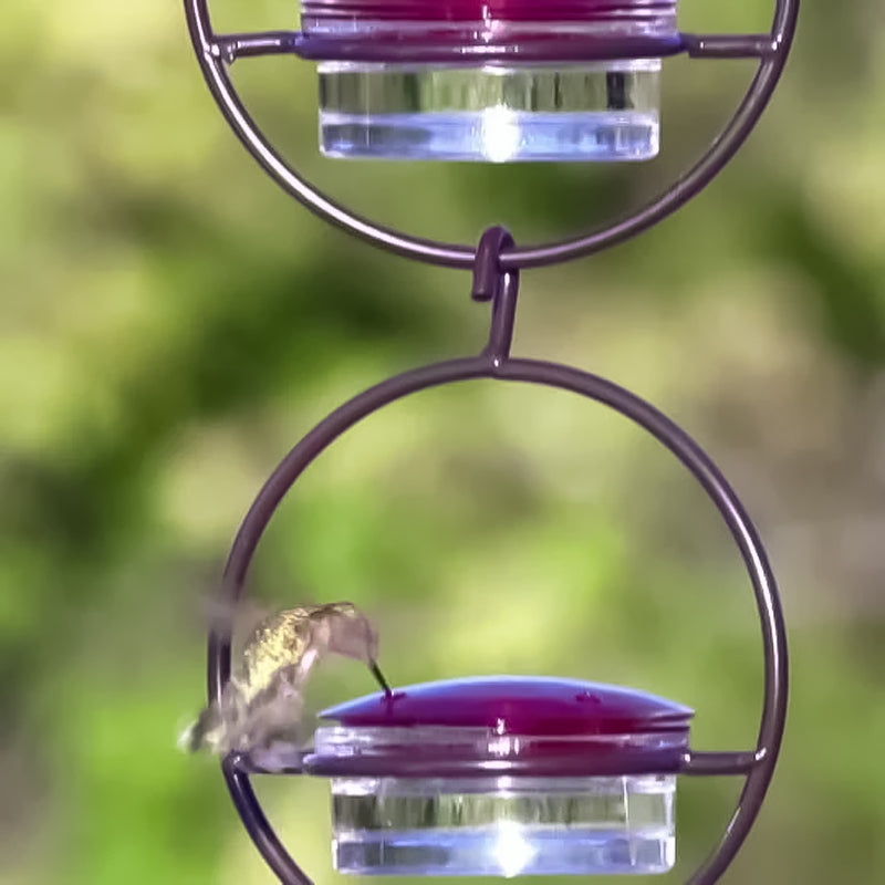 Luvikno | Enkel Kolibri Vannedispenser Laget av Metall