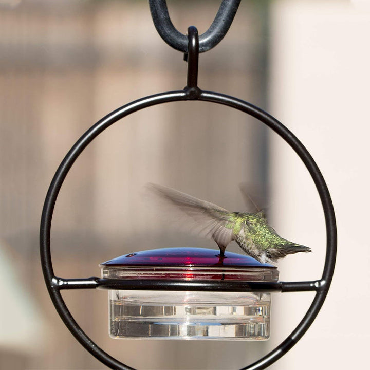 Luvikno | Enkel Kolibri Vannedispenser Laget av Metall