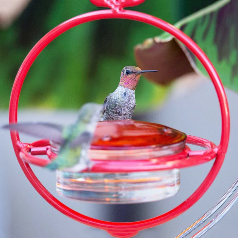 Luvikno | Enkel Kolibri Vannedispenser Laget av Metall